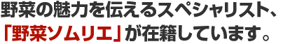 野菜の魅力を伝えるスペシャリスト、「野菜ソムリエ」が在籍しています。